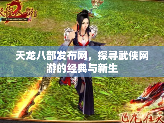 天龙八部发布网，探寻武侠网游的经典与新生