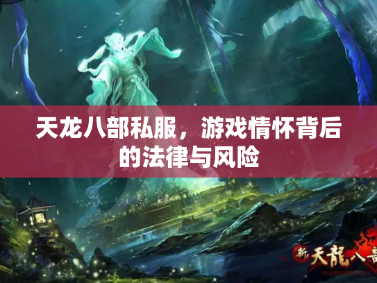 天龙八部私服，游戏情怀背后的法律与风险