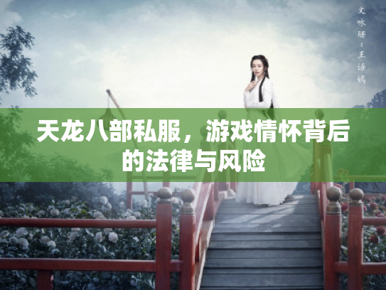 天龙八部私服，游戏情怀背后的法律与风险
