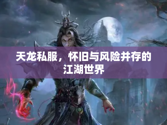 天龙私服，怀旧与风险并存的江湖世界