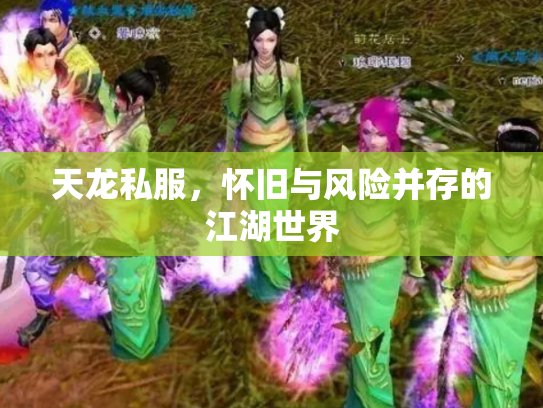天龙私服，怀旧与风险并存的江湖世界