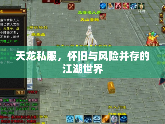 天龙私服，怀旧与风险并存的江湖世界