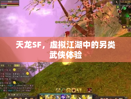 天龙SF，虚拟江湖中的另类武侠体验