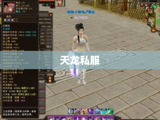 天龙私服
