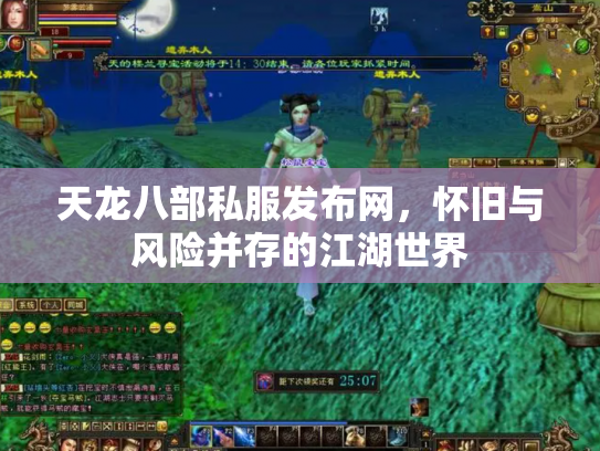 天龙八部私服发布网，怀旧与风险并存的江湖世界