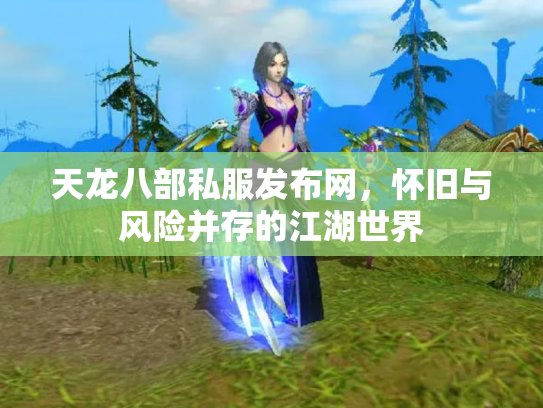 天龙八部私服发布网，怀旧与风险并存的江湖世界