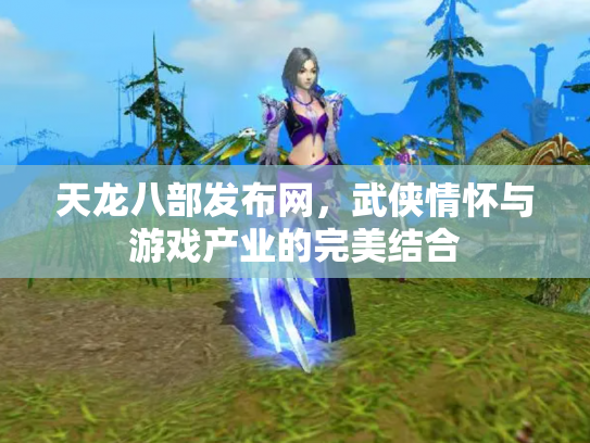 天龙八部发布网，武侠情怀与游戏产业的完美结合