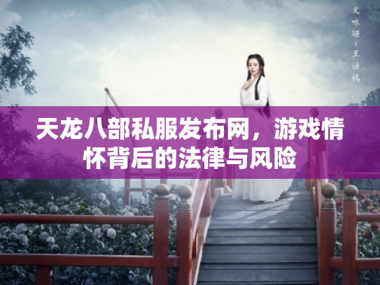 天龙八部私服发布网，游戏情怀背后的法律与风险