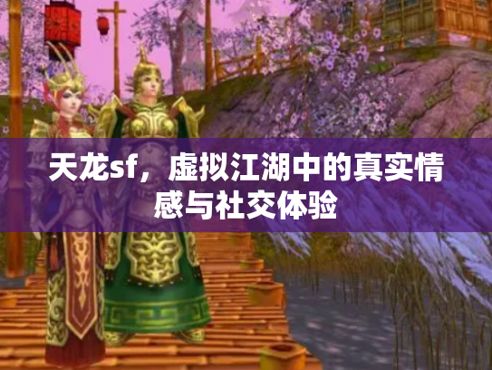 天龙sf，虚拟江湖中的真实情感与社交体验