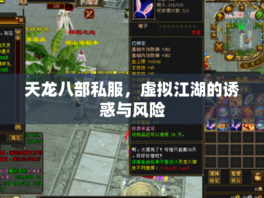 天龙八部私服，虚拟江湖的诱惑与风险