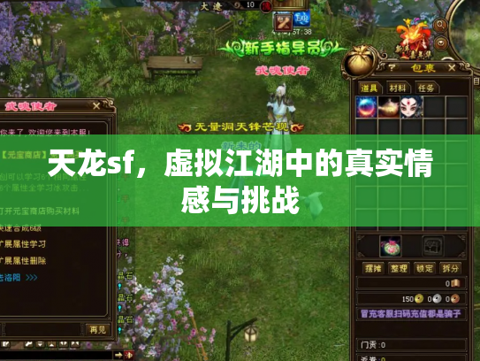天龙sf，虚拟江湖中的真实情感与挑战