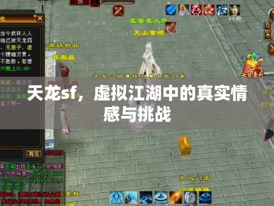 天龙sf，虚拟江湖中的真实情感与挑战