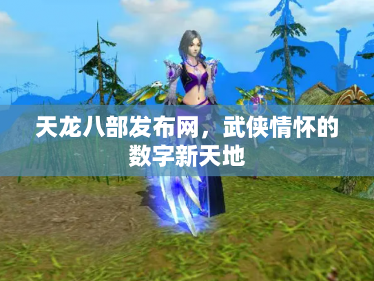 天龙八部发布网，武侠情怀的数字新天地