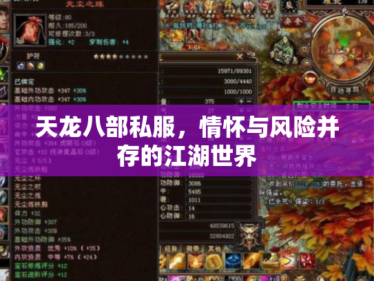 天龙八部私服，情怀与风险并存的江湖世界