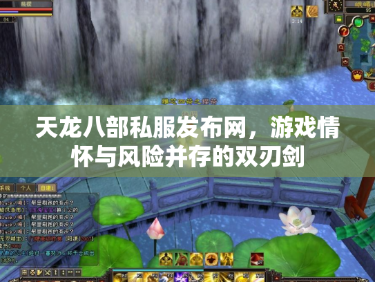 天龙八部私服发布网，游戏情怀与风险并存的双刃剑