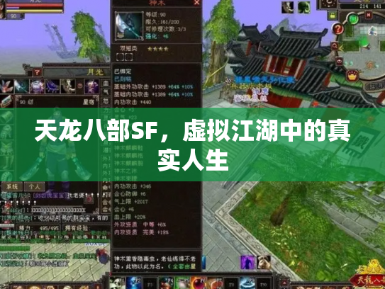 天龙八部SF，虚拟江湖中的真实人生