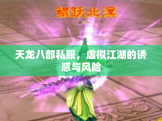 天龙八部私服，虚拟江湖的诱惑与风险