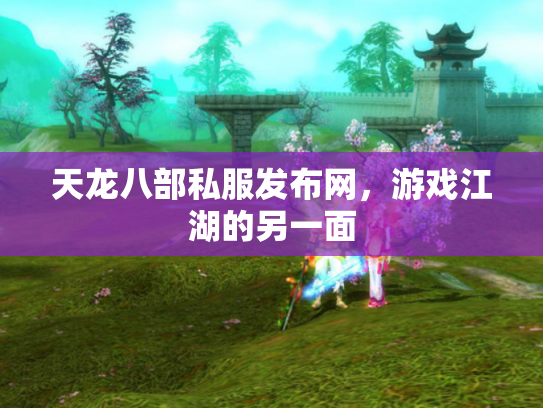 天龙八部私服发布网，游戏江湖的另一面
