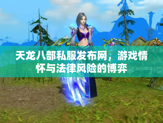 天龙八部私服发布网，游戏情怀与法律风险的博弈