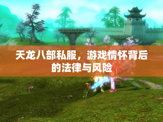 天龙八部私服，游戏情怀背后的法律与风险