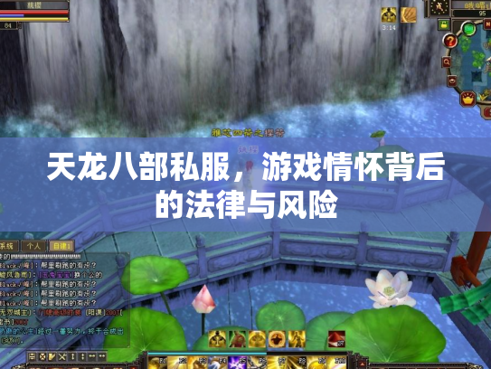 天龙八部私服，游戏情怀背后的法律与风险