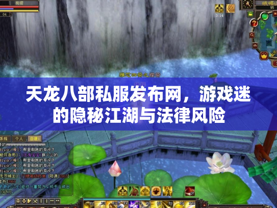 天龙八部私服发布网，游戏迷的隐秘江湖与法律风险