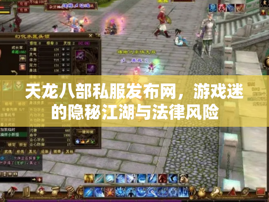 天龙八部私服发布网，游戏迷的隐秘江湖与法律风险