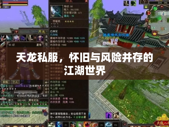 天龙私服，怀旧与风险并存的江湖世界