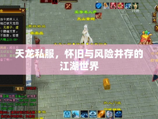 天龙私服，怀旧与风险并存的江湖世界