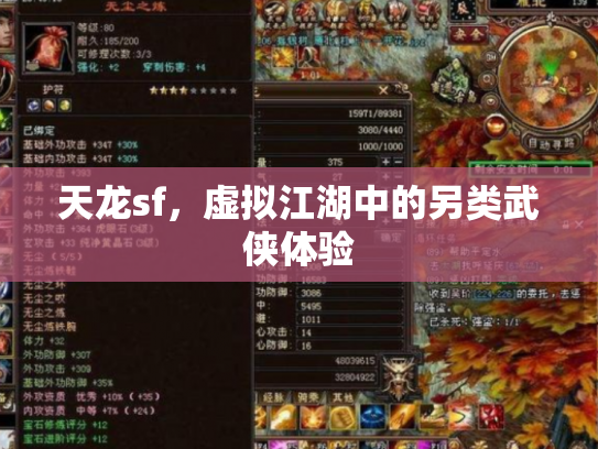 天龙sf，虚拟江湖中的另类武侠体验