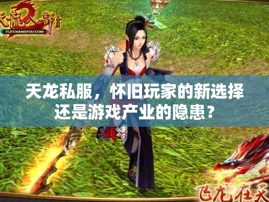 天龙私服，怀旧玩家的新选择还是游戏产业的隐患？