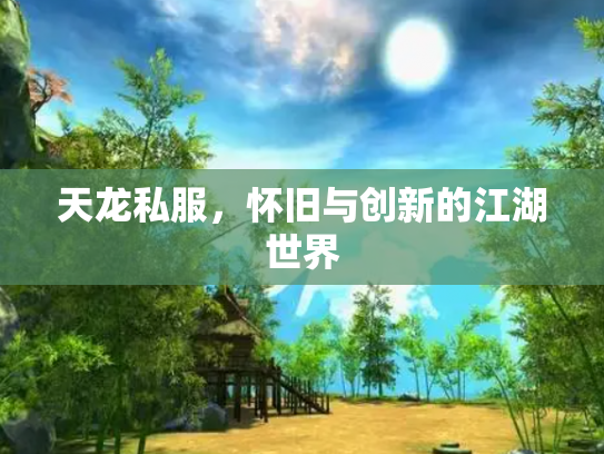 天龙私服，怀旧与创新的江湖世界