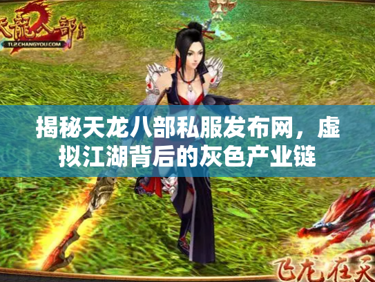 揭秘天龙八部私服发布网，虚拟江湖背后的灰色产业链