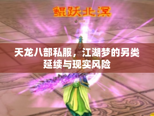 天龙八部私服，江湖梦的另类延续与现实风险