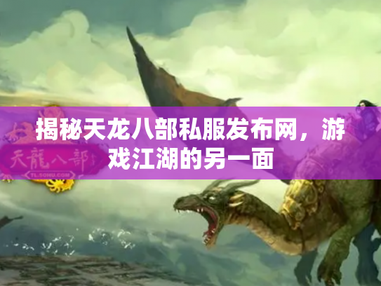 揭秘天龙八部私服发布网，游戏江湖的另一面
