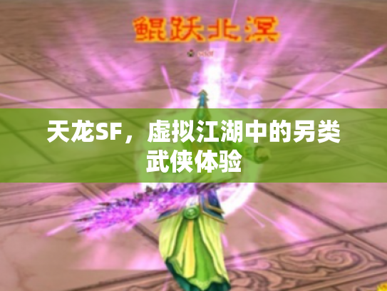 天龙SF，虚拟江湖中的另类武侠体验