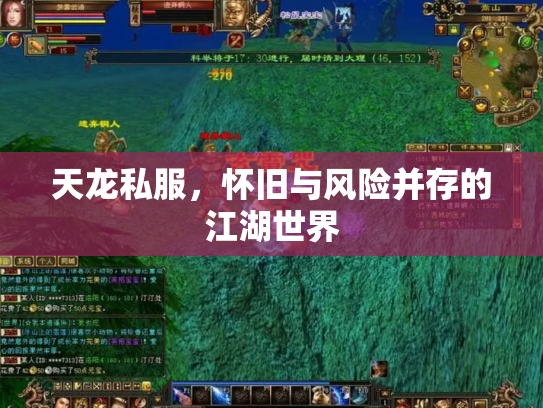 天龙私服，怀旧与风险并存的江湖世界