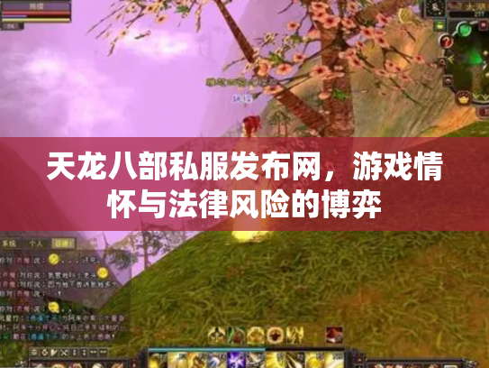 天龙八部私服发布网，游戏情怀与法律风险的博弈