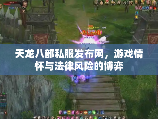 天龙八部私服发布网，游戏情怀与法律风险的博弈