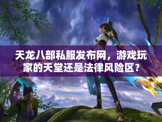 天龙八部私服发布网，游戏玩家的天堂还是法律风险区？