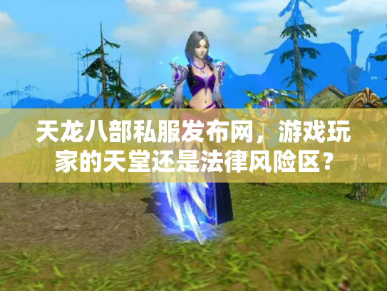天龙八部私服发布网，游戏玩家的天堂还是法律风险区？