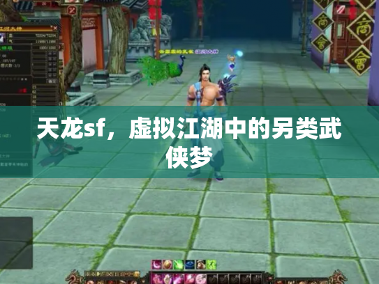 天龙sf，虚拟江湖中的另类武侠梦