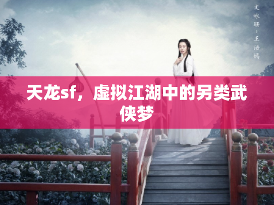 天龙sf，虚拟江湖中的另类武侠梦