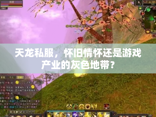 天龙私服，怀旧情怀还是游戏产业的灰色地带？