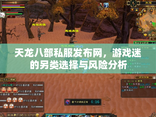 天龙八部私服发布网，游戏迷的另类选择与风险分析