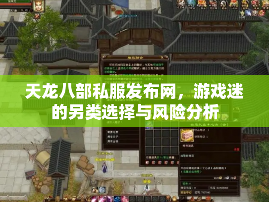 天龙八部私服发布网，游戏迷的另类选择与风险分析