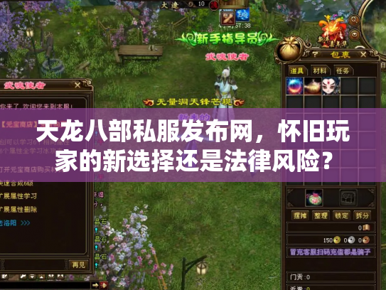 天龙八部私服发布网，怀旧玩家的新选择还是法律风险？
