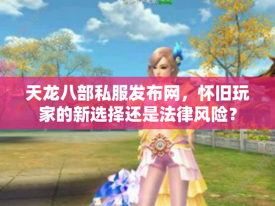 天龙八部私服发布网，怀旧玩家的新选择还是法律风险？
