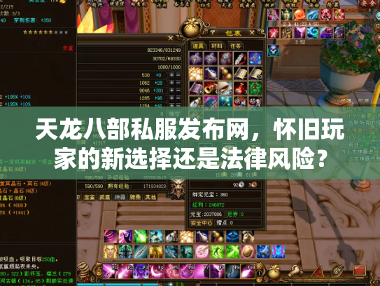 天龙八部私服发布网，怀旧玩家的新选择还是法律风险？