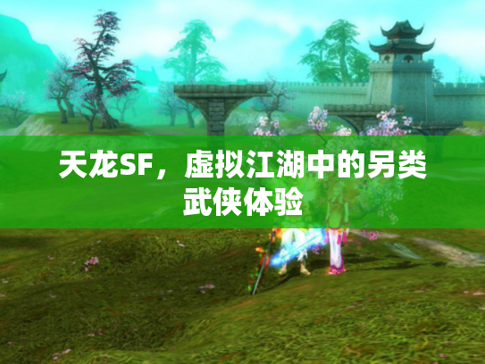 天龙SF，虚拟江湖中的另类武侠体验